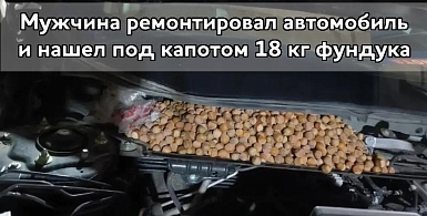 Мужчина попытался починить автомобиль и нашел под капотом 18 кг фундука