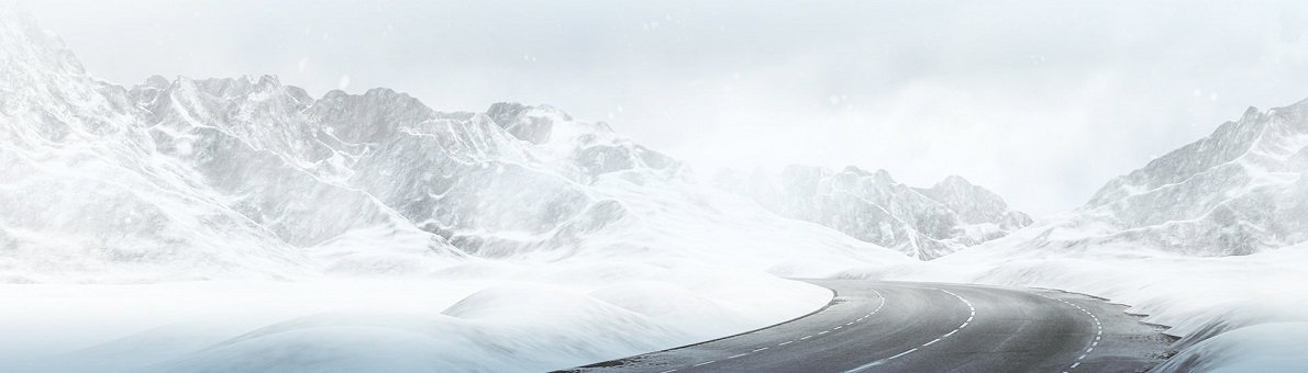 FIRESTONE ICE CRUISER 7