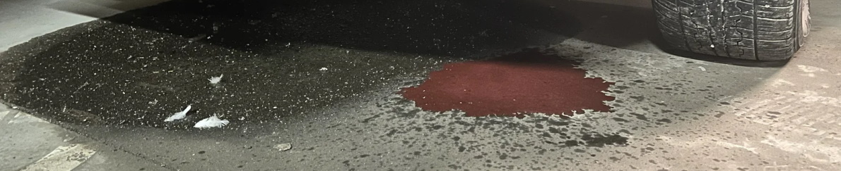 Названы семь причин запаха антифриза в автомобиле