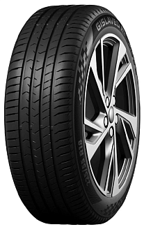  Gislaved ActiveControl 205/55 R17 95V TL FR - интернет-магазин "Протектор"