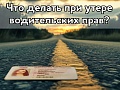 Что делать при утере водительских прав?
