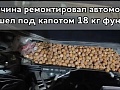 Мужчина попытался починить автомобиль и нашел под капотом 18 кг фундука