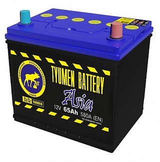 Аккумуляторная батарея Тюмень Asia 65 обр 230х172х221 580